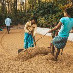 किसानों के लिए दोहरी खुशखबरी: केसीसी लोन सीमा बढ़ाने की तैयारी और जैविक खेती पर भारी सब्सिडी